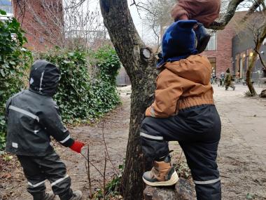 Børn der klatrer i et træ